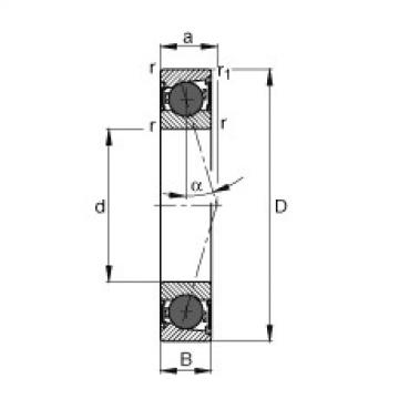 Bearing HCB7005-C-2RSD-T-P4S FAG