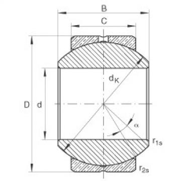 Bearing GE20-PB INA