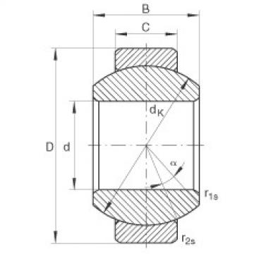 Bearing GE10-FO INA