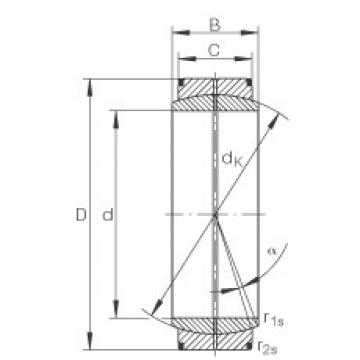 Bearing GE440-DO INA