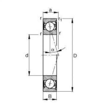 Bearing B7009-C-2RSD-T-P4S FAG