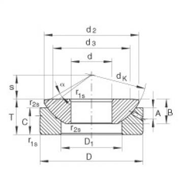 Bearing GE10-AX INA