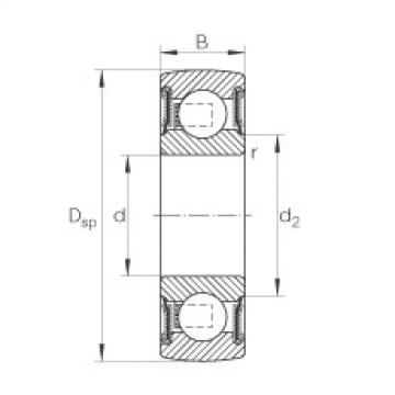 Bearing 204-NPP-B INA