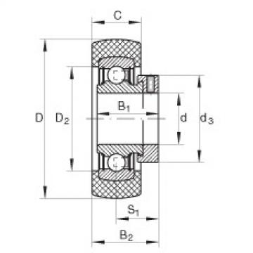 Bearing RABRB25/62-FA106 INA