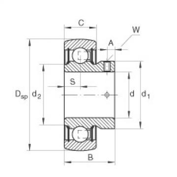 Bearing AY12-NPP-B INA