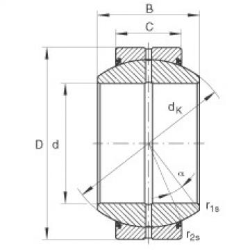 Bearing GE110-FO-2RS INA