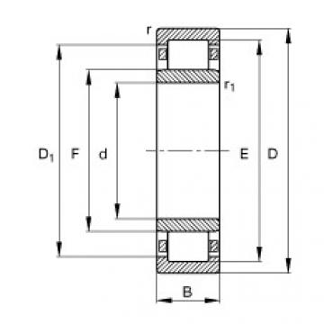 Bearing NU1006-M1 FAG