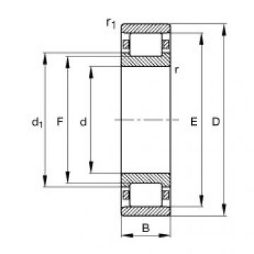 Bearing N248-E-TB-M1 FAG