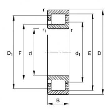 Bearing NJ215-E-TVP2 FAG