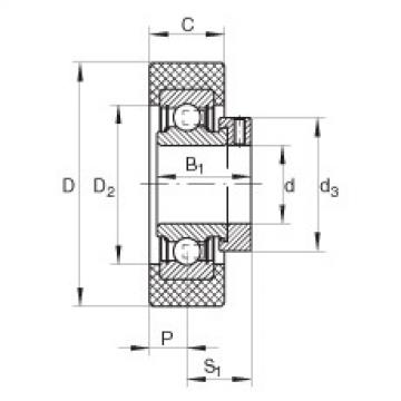 Bearing RCSMA30/65-FA106 INA