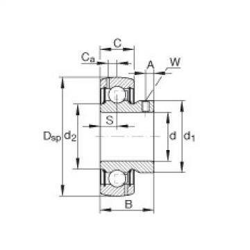 Bearing GAY010-NPP-B-AS2/V INA