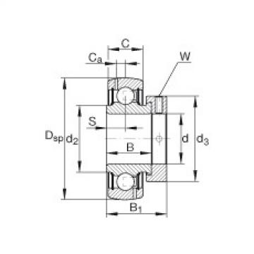 Bearing GRA100-NPP-B-AS2/V INA