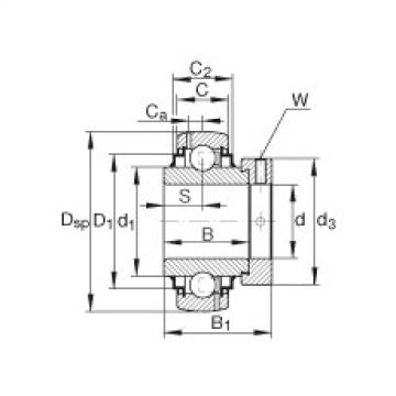 Bearing G1111-KRR-B-AS2/V INA