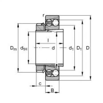 Bearing 1206-K-TVH-C3 + H206 FAG