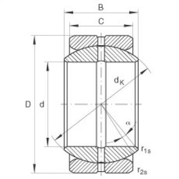 Bearing GE19-ZO INA