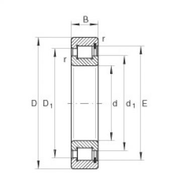 Bearing SL1818/500-E-TB INA