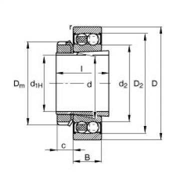 Bearing 2206-K-2RS-TVH-C3 + H306 FAG