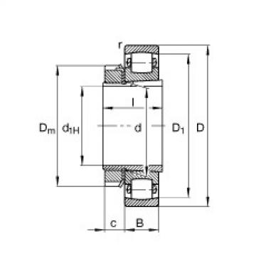 Bearing 20206-K-TVP-C3 + H206 FAG