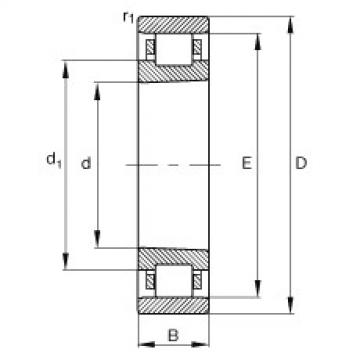 Bearing N1010-K-M1-SP FAG