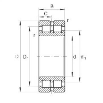 Bearing SL014928 INA