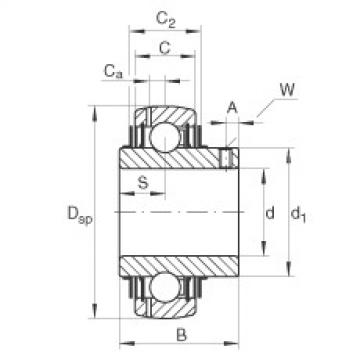 Bearing GYE30-KRR-B-VA INA