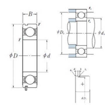 Bearing 60/32N NSK