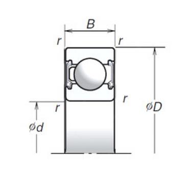 Bearing 6002T1XVV NSK