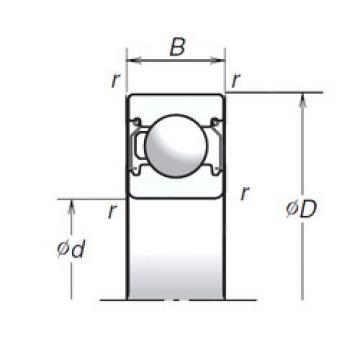 Bearing 6003T1XZZ NSK