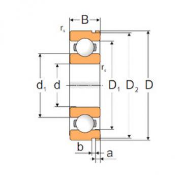 Bearing 6206N MPZ