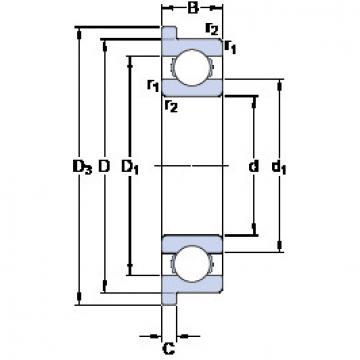 Bearing D/W RW144 R SKF