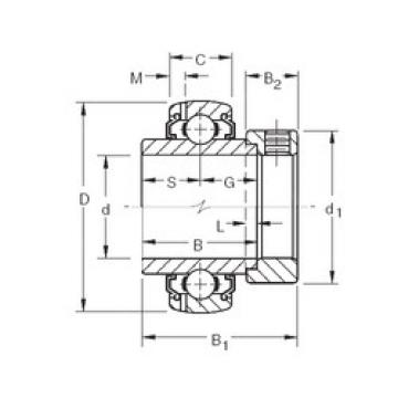 Bearing G1204KLLB Timken