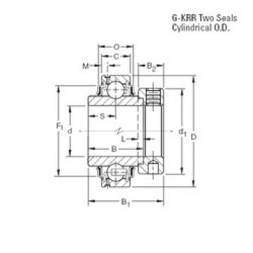 Bearing G1101KRR Timken