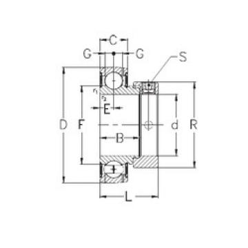 Bearing RAE12-NPPB NKE