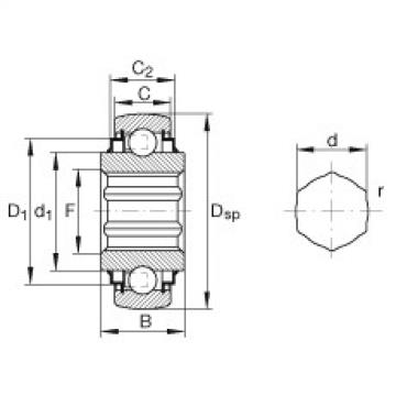 Bearing SK102-207-KRR-B-AH10 INA