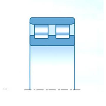 Bearing E-RR2109 NTN