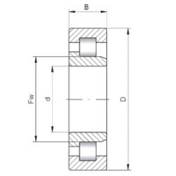 Bearing NJ1012 CX