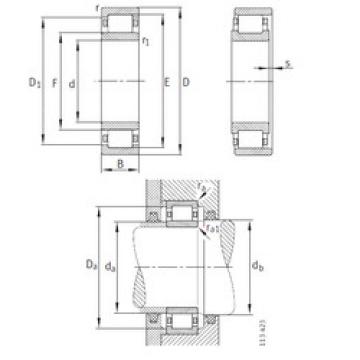 Bearing NU19/710-M1 FAG