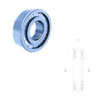 Bearing NUP310FM/C3 Fersa