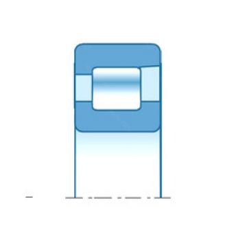 Bearing NFV1888 NTN