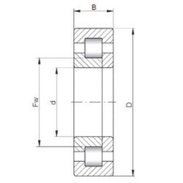 Bearing NUP10/600 CX