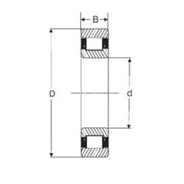 Bearing LRJ 4.1/2 SIGMA