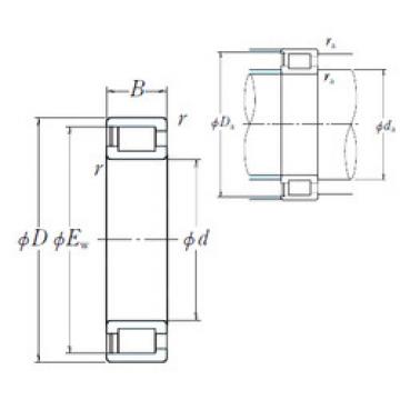 Bearing N12649S04H100 SNR