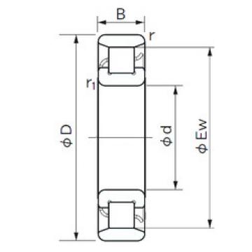 Bearing N 1028 NACHI