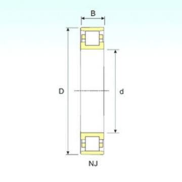 Bearing N 218 ISB