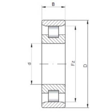 Bearing N10/560 CX