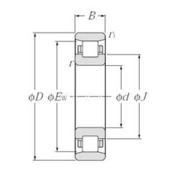 Bearing N1006 NTN