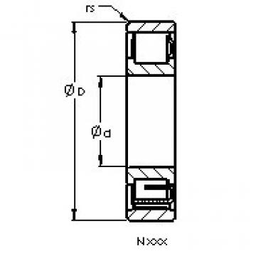 Bearing N1013 M AST