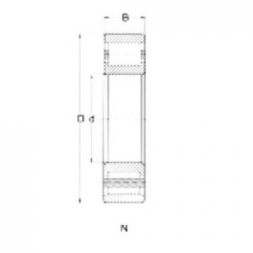 Bearing N204 CRAFT