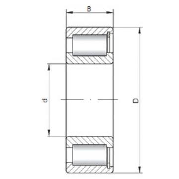 Bearing NCF2204 V ISO