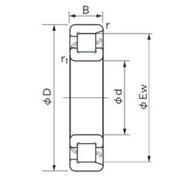 Bearing NF 1034 NACHI